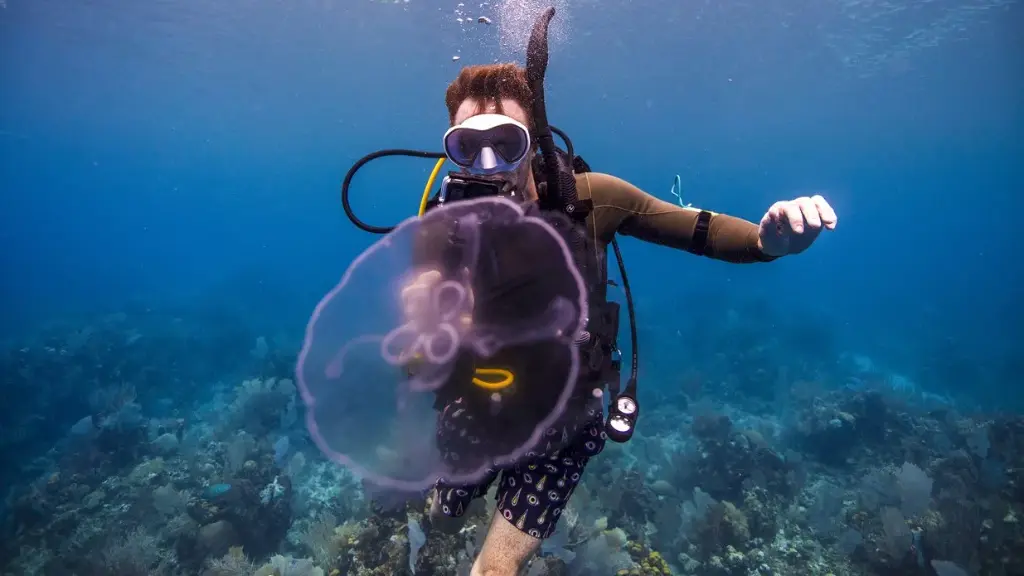 PADI Underwater Photography (Basic)