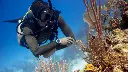 PADI Peak Performance Buoyancy