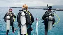 Assistant Instructor