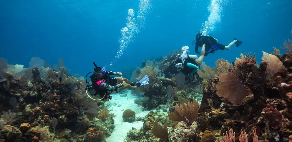 Divemaster