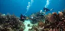 Divemaster