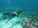Um Al-Maradim Island Day Trip
