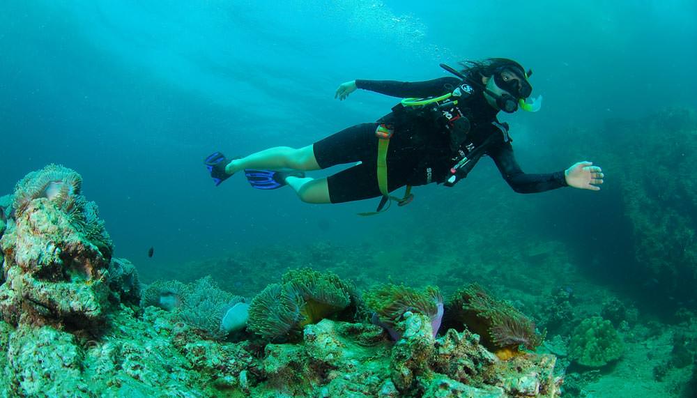 Kubbar Island Day Trip