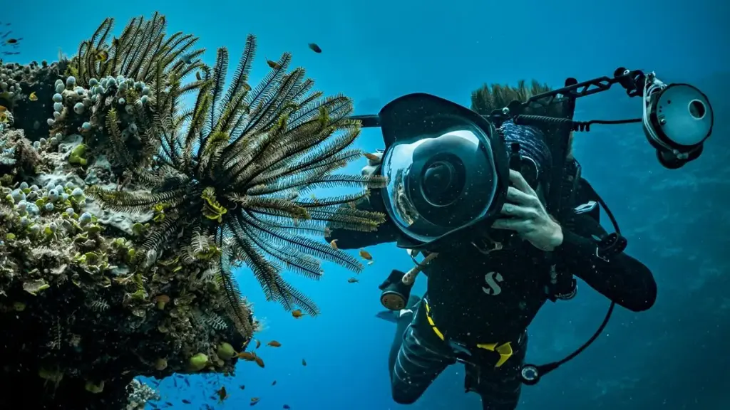 PADI Advanced Open Water Diver
