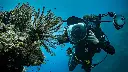 PADI Advanced Open Water Diver