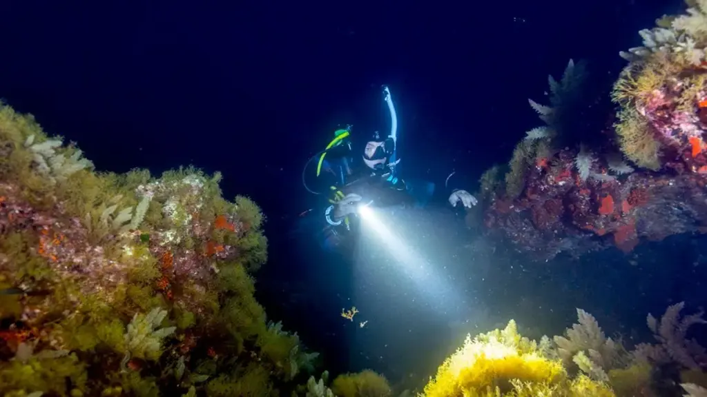 PADI Advanced Open Water Diver