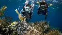 PADI Advanced Open Water Diver