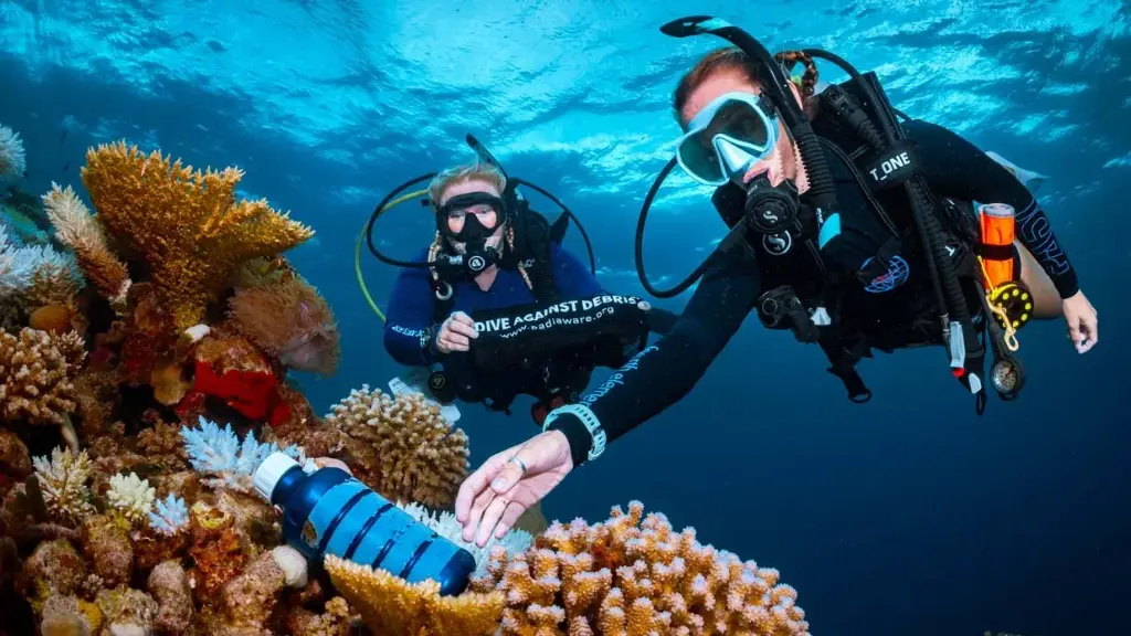 PADI Dive Against Debris Specialty