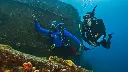 PADI Underwater Navigation