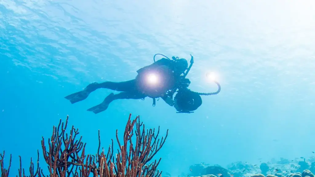 PADI Underwater Photography (Basic)