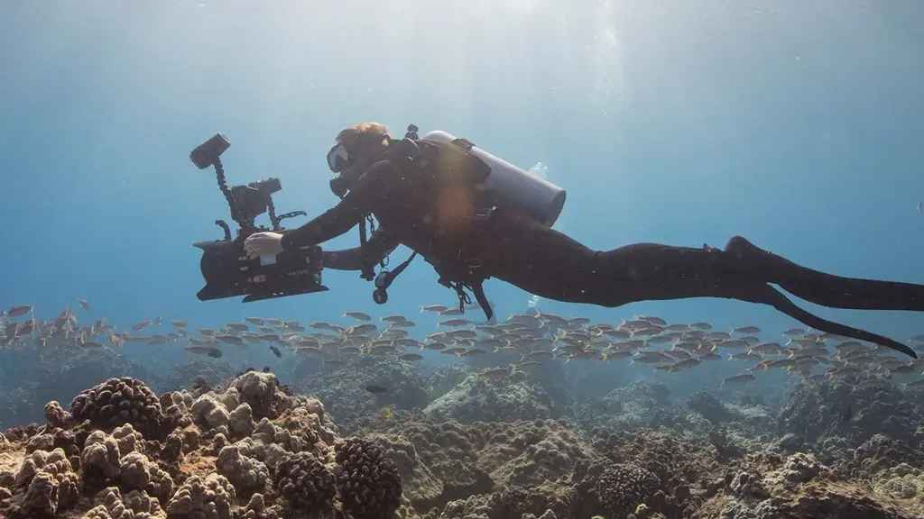 PADI Underwater Photography (Basic)