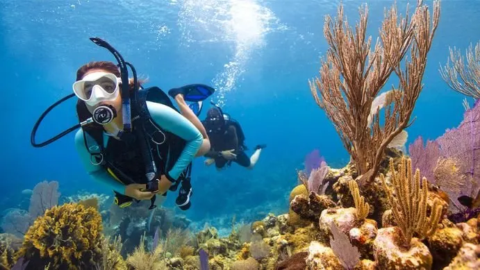 PADI Open Water Diver