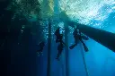 Master Instructor - 2 IDC