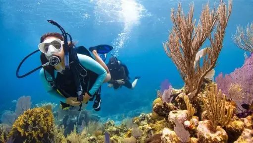 [CRS-OWD] PADI Open Water Diver