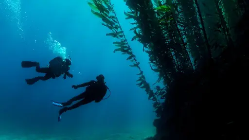 [SPEC-DEEP] PADI Deep Diver Specialty