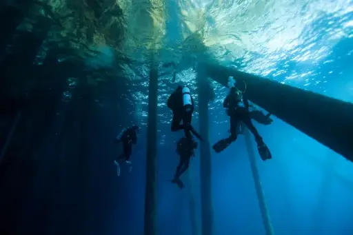 Master Instructor - 2 IDC